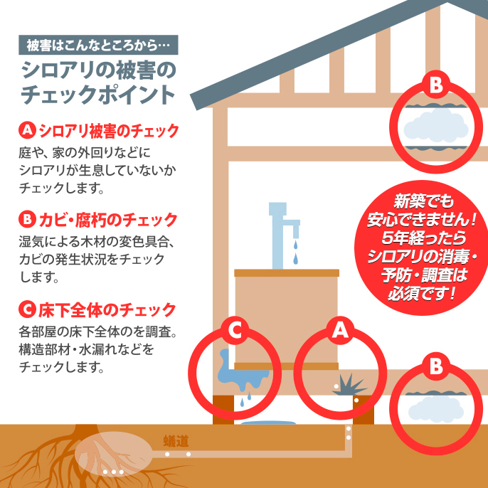 チェックポイント